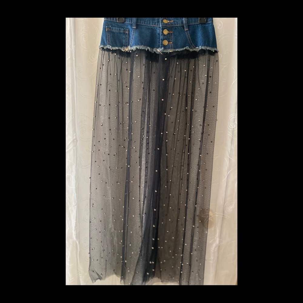 Black Sheer Skirt